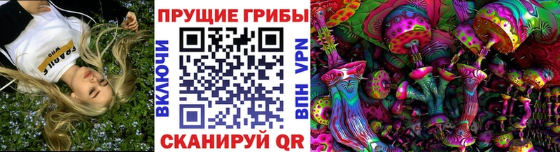 Галлюциногенные грибы GOLDEN TEACHER  где продают   блэк спрут tor  Югорск 