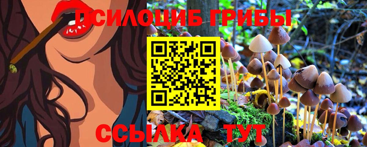 Псилоцибиновые грибы Psilocybine cubensis Югорск